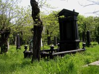 21 Krecsányi Ignác